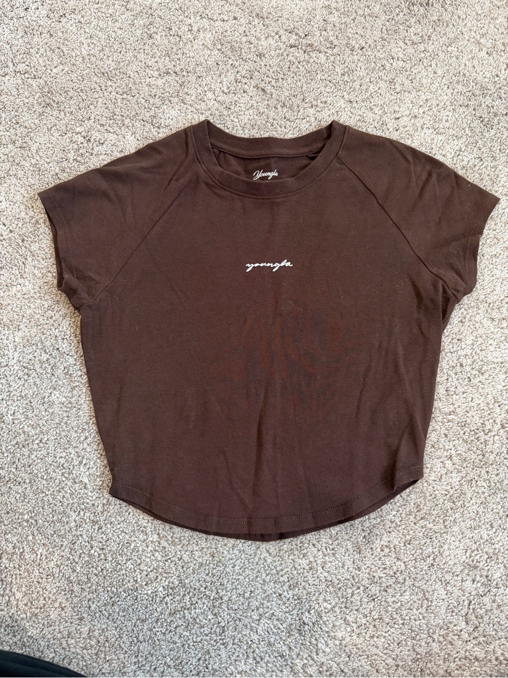 YoungLABrown Short Sleeve Crop top